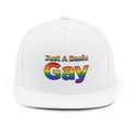 Just A Basic Gay Snapback Hat — Rainbow Pride Baseball Cap